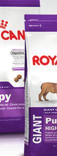 Royal Canin