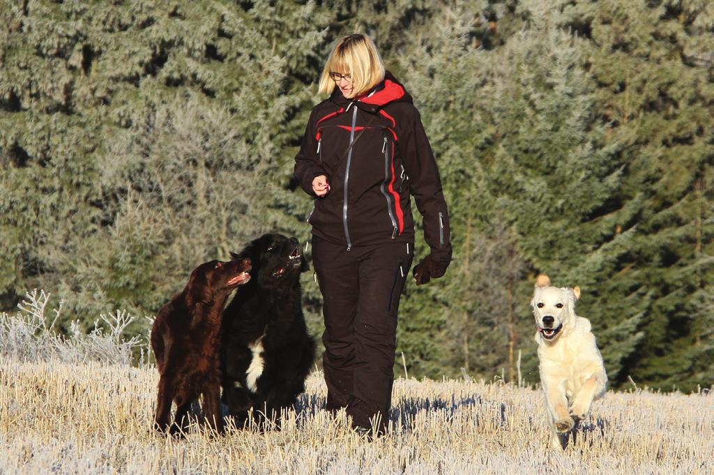 NOEN RÅD TIL DEG SOM HAR LYST TIL Å KJØPE HUND Det å ha hund innebærer et stort ansvar. Hunden er et individ med behov, akkurat som mennesker. Man skal behandle dem med respekt og gi dem omsorg.