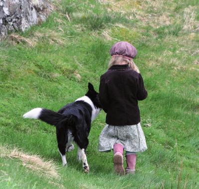 La aldri barn løfte opp en hund, løpe omkring med den eller dra den i ører eller hale. Uansett hvor veloppdragen hunden er, bør barn og hund alltid være under oppsyn av en voksen person.