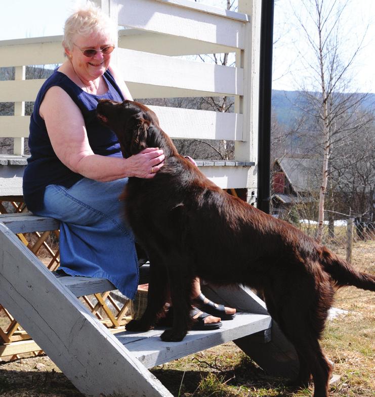 ELDRE HUNDEEIERE Min situasjon Det er aldri for sent å skaffe seg hund. Det at man ikke er så ung lenger betyr ingenting, snarere tvert imot.