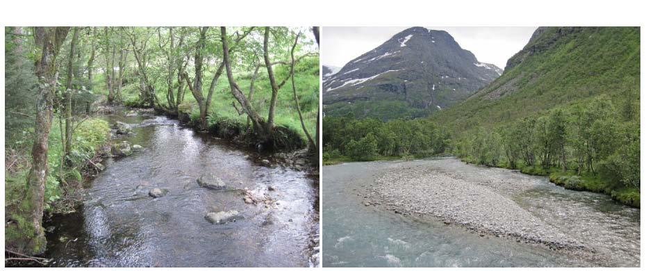 Kantvegetasjon i kulturlandskap og naturlandskap med stabiliserende effekt på elvebredden. Til venstre kulturlandskap ved Forsandåna, til høyre øvre Loelva.