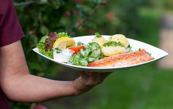 Norsk tradisjonsmat lett tilgjengelig Hvem er vi som jobber på Aarnes Kafeteria, Sjøormen Kro og Senterkroa? Hvorfor liker vi oss så godt på jobb og hvorfor er vi så opptatt av skikkelig mat?