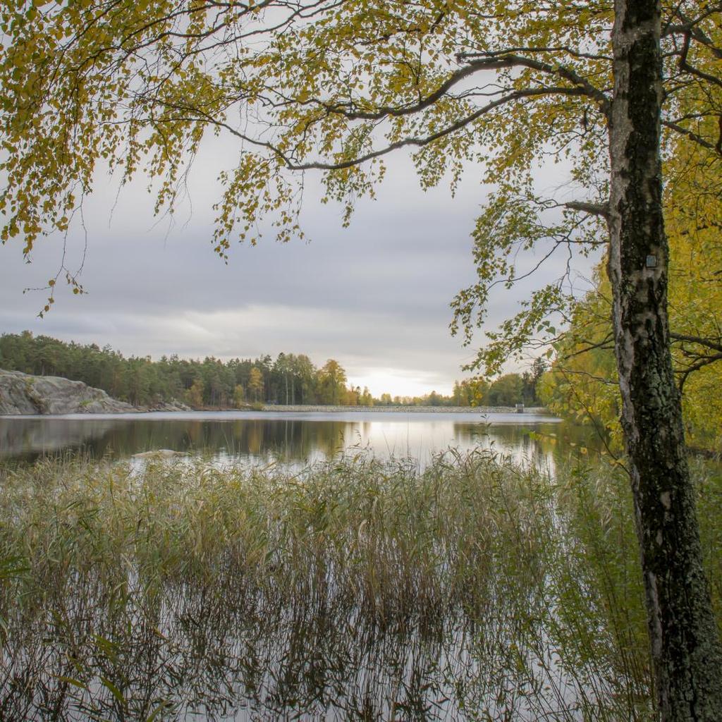 Fredrikstad Foto: Heidi