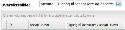 Man kan bruke feltet Jobbsøkergrupper til å filtrere hvem man skal i tilgang til. Feltet Jobbsøkergruppe finnes både på ansatte og jobbsøkere.