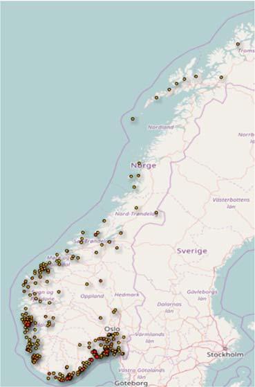 Hussopp Forsikring (n=667).