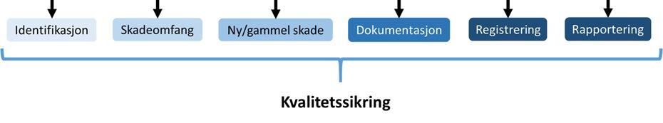 faglig forsvarlig måte.