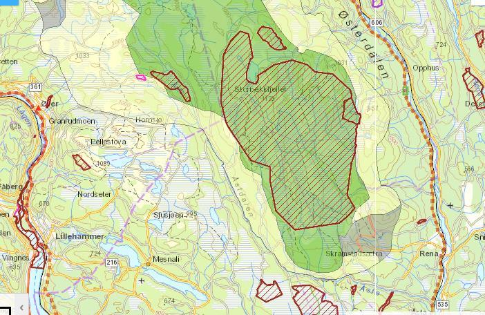 Hemmeldalen naturreservat Figur 3 Plassering av ny hytte i sørenden av Øyungen (lilla prikk).