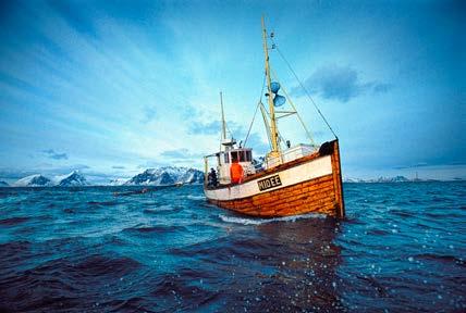 Hver time, hver dag og natt og gjennom alle sesongene ivaretar Hurtigruten felleskapets interesser langs kysten.