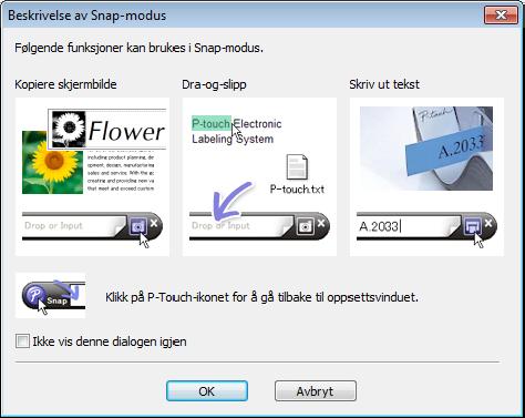 Hvordan bruke P-touch Editor Snap-modus I denne modusen kan du fange hele eller en del av datamaskinskjermens innhold, skrive det ut som et bilde og lagre det