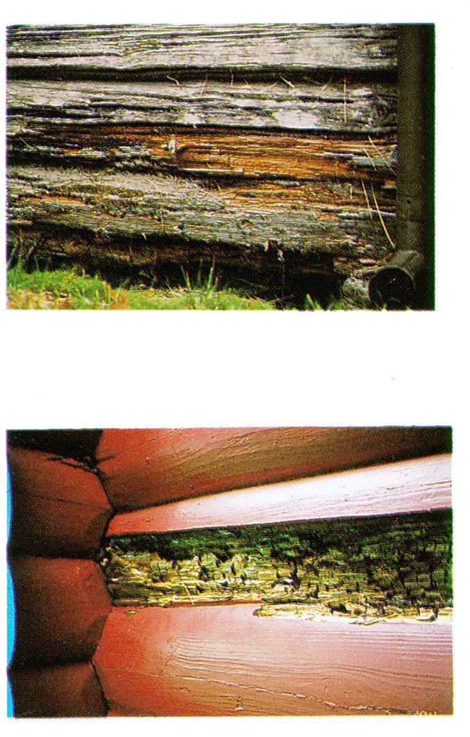 Disse to bildene viser eksempler på en tømmervegg som på overflaten ser relativt bra ut. (Visuelt: tilstandsgrad 0 eller 1).