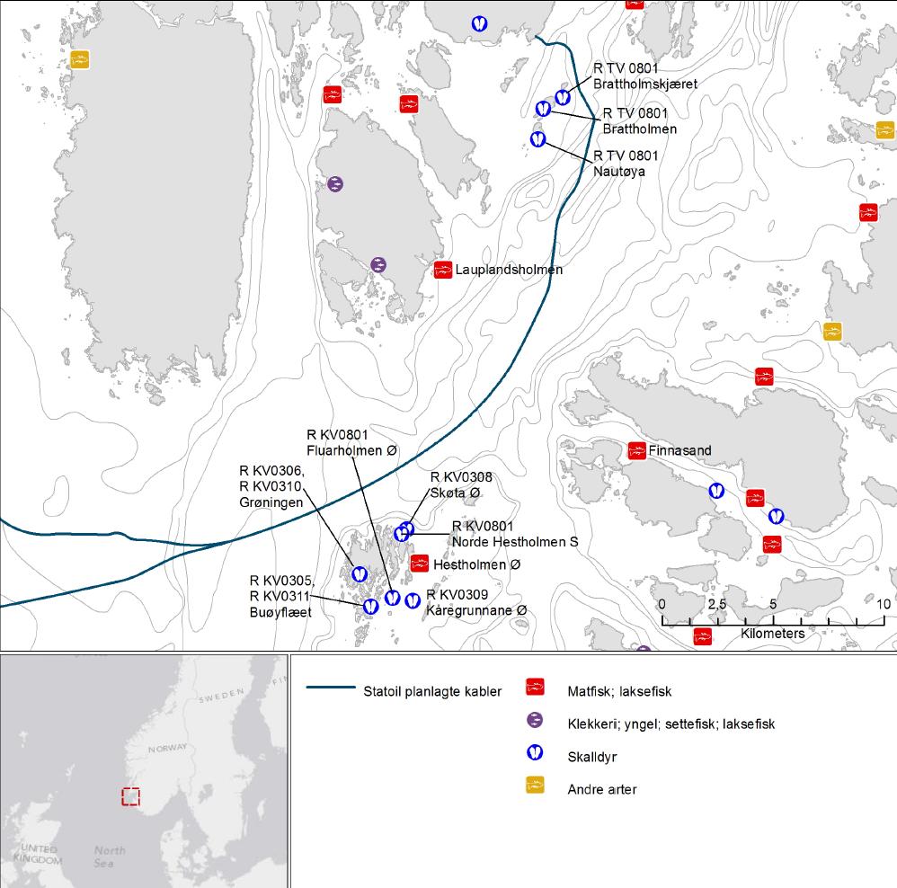 Akvakultur Boknafjordbassenget har mange anlegg for akvakultur, men kabel-traséen er planlagt i god avstand fra disse. Korteste avstand til et anlegg vil bli ca. 1 km (anlegg ved Brattholmskjæret).