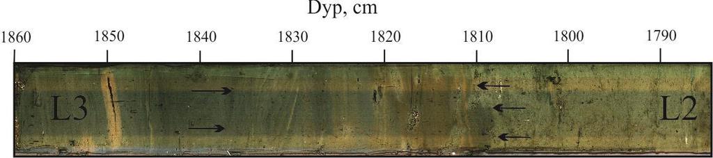 Kapittel 4 Resultat Litosone 3 Litosone 3 (L3) er definert fra 1810 cm og ned til 1860 cm, som er bunnen av kjernen. Litosonen ligger stratigrafisk nederst og er dominert av mørk siltig leire.