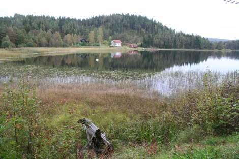 Kommuneplanens arealdel Konsekvensutredning 102 Området Bamble-Solum-Drangedal består av flere små vassdrag med utløp i fjordsystemet nord for Kragerø.