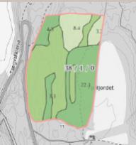 Kommuneplanens arealdel Konsekvensutredning 35 29 Fjelljordet GNR 38 BNR 1 KARTUTSNITT Dagens formål Foreslått formål Arealstørrelse Forslagsstiller LNF i Kplan Bolig 73,3 daa Nils Aage Tangvald 65-1