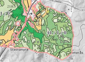 (Folkehelse) Landskap og grønnstruktur Geologi Grenser inntil IDD:BN00036326 Vinjebekken en viktig nerve i kulturlandskapet. Ask, svartor, gråor, lønn, hegg.