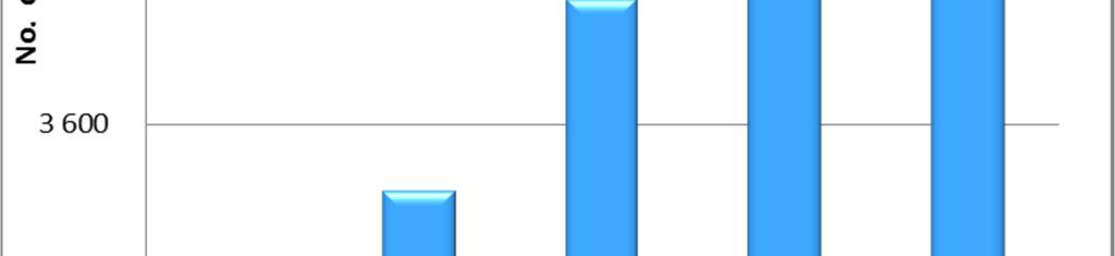 gjennom 2010 fokusert på internasjonalisering av