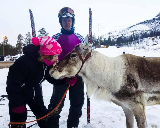 Eni Norge årsrapport/annual report 31 Samfunnsansvar/Social responsibility Eksempler på prosjekter som mottok støtte fra Eni Norge og Goliatlisensen i 2016: Sami Reindeer Races Federation Sirma IL