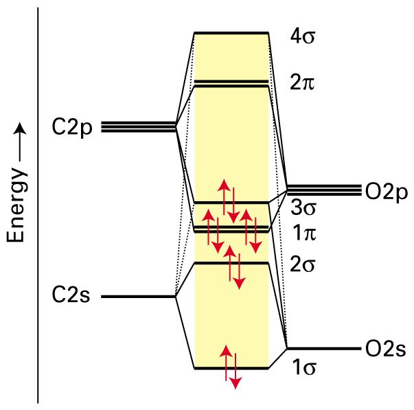 Elektronkonfigurasjon: 1σ σ 1π 4 3σ Bindingsorden: b = 1(N N ) = 1 (8 ) = 3 Spinn: S = 0 (singlett) HOMO: 3σ LUMO: π (ii) MO diagram til NO (1s-orbitaler utelatt): Elektronkonfigurasjon: 1σ σ 3σ 1π 4