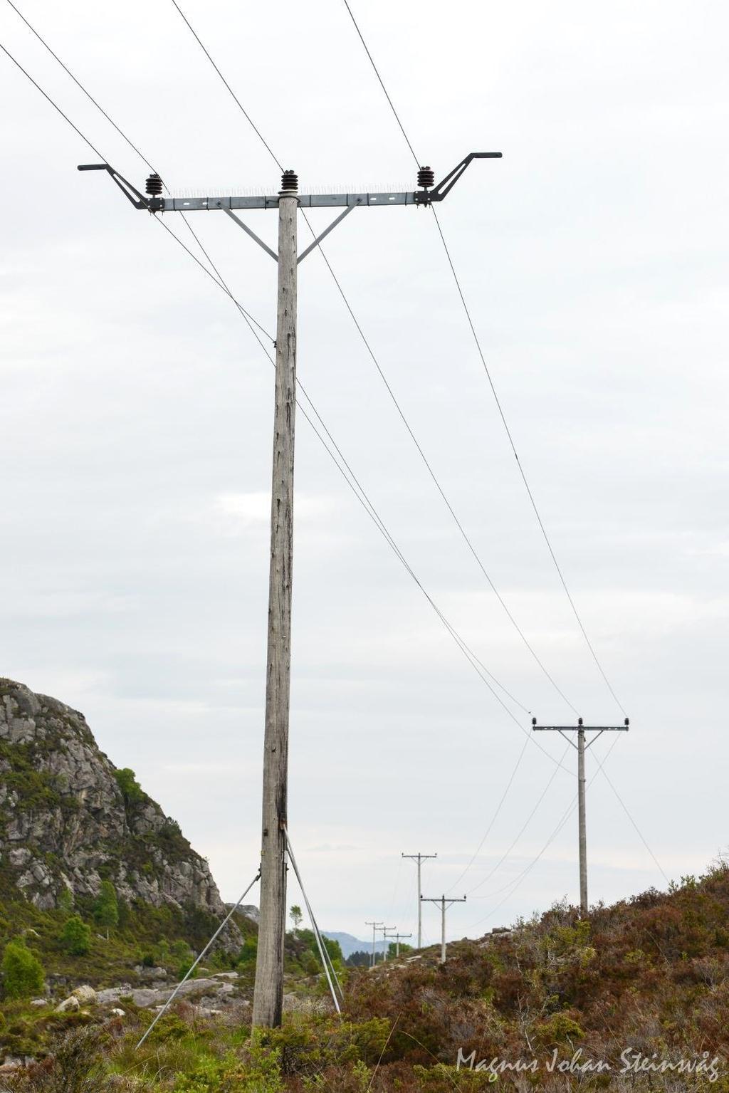 av 2013 vil det ha blitt montert sittepinnar og/eller fugleavvisarar på 74 master