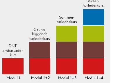 2 Oppgaver Aktiviteter i MRT kan deles inn i 3 kategorier Fellesturer/kurs Hyttedrift Dugnadsarbeid Hver kategori krever forskjellige rutiner i forhold til sikkerhet, derfor har vi valgt å beskrive