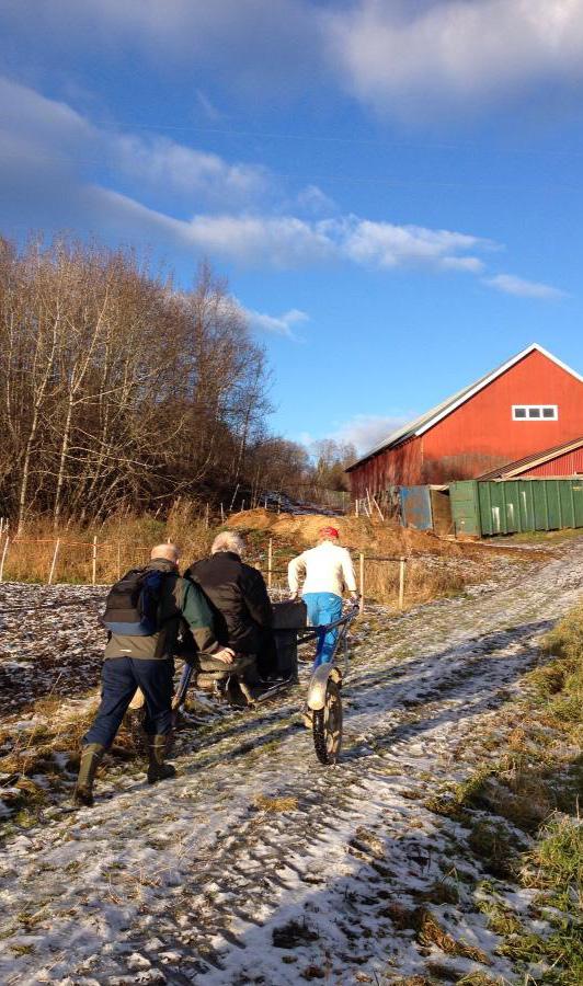 Prosjekt Livsglede for hjemmeboende eldre Tilskudd fra det offentlige Prosjektet Livsglede for hjemmeboende eldre er en bestilling fra Trondheim kommune, og hensikten er å skape et tilbud til