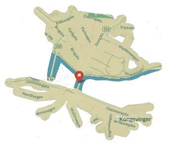 Kongsvinger har i dag to sentrumsområder, og analysen har tatt høyde for at midtpunktet i Kongsvinger i midt