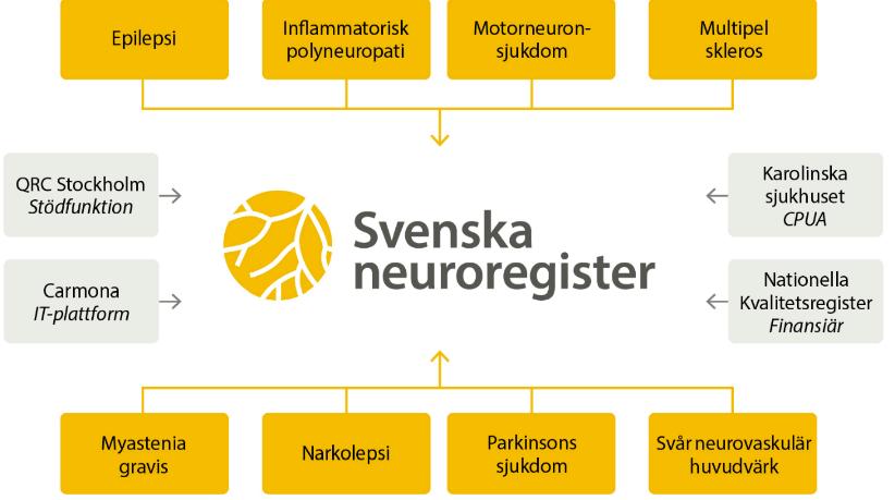 Referensgrupp hörselrehabilitering Referensgrupp Grav hörselnedsättning vuxna Referensgrupp hörselbarnsregistret Referensgrupp rör i trumhinnan Styrgruppen Referensgrupp myringo- och Ossikuloplastik