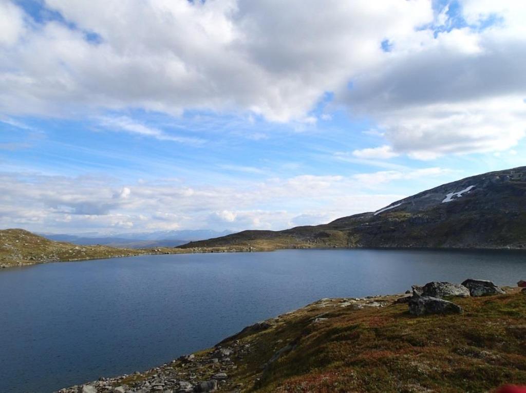 Prøvefiske i Mykjedalsvatnet og Demmetjørnane i Voss