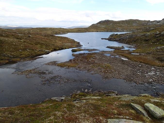 Utløpsbekken fra Mykjedalsvatnet har et bunnsubstrat dominert av store steiner og fjell, og elvebunnen er begrodd med mose.