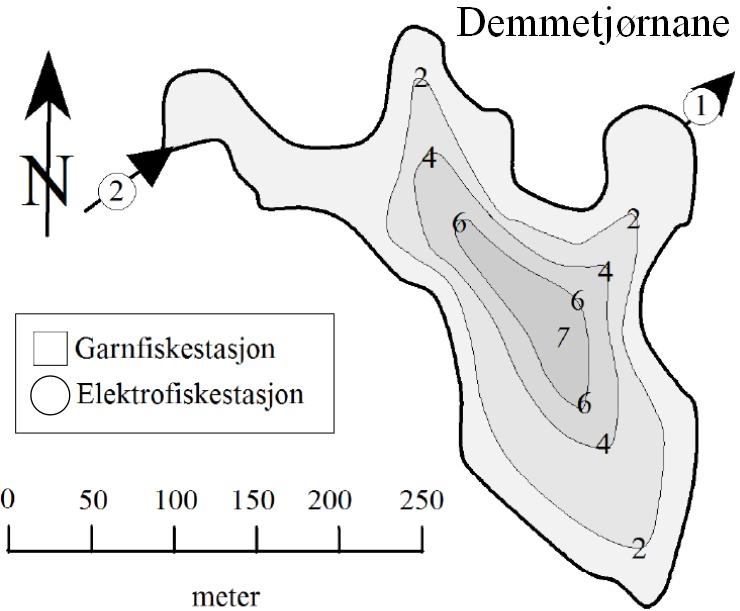 Bestanden er estimert ved å ta gjennomsnittlig fangst per garnnatt i bunngarnene som står i strandsonen, og gange denne opp med lengden av strandlinjen.