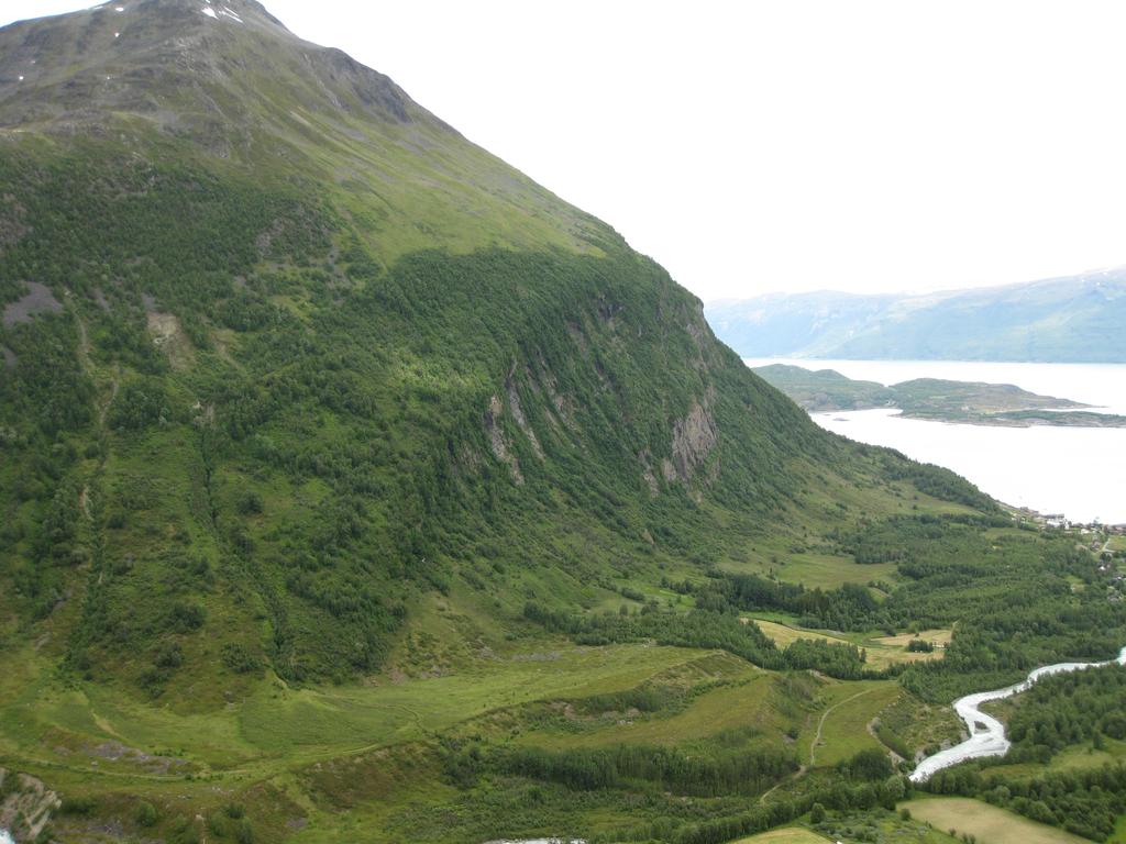 Lyngen (snitt hele kommunen) Mindre godt beite: 38 % Godt beite: 41 % Svært godt beite: 21