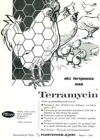 helt annet sted? Holdningene til fôrantibiotika har ikke alltid vært like prinsippfaste som de er i dag. Disse annonsene sto på trykk i Norsk Landbruk for 50-60 år siden.