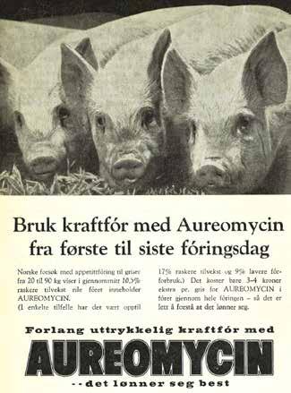Sammenlignet med andre land var nok nivået lavt, men retningen var feil. Handlingsplanen husdyrnæringa lagde i 1995, Friskere dyr og mindre bruk av antibiotika, ble avgjørende for å snu denne trenden.