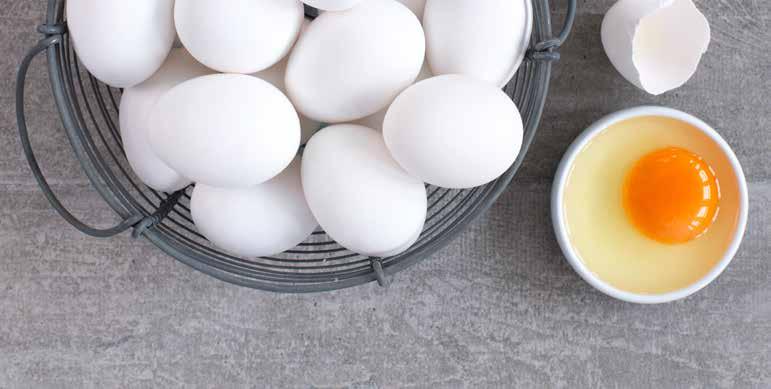 Mer egg i sommer! Foto: MatPrat / Mari Svenningsen MatPrats satsing for å øke salget av egg videreføres. Forbrukeren anser egget som sentralt i kostholdet. Likevel kunne nordmenn spist langt mer egg.