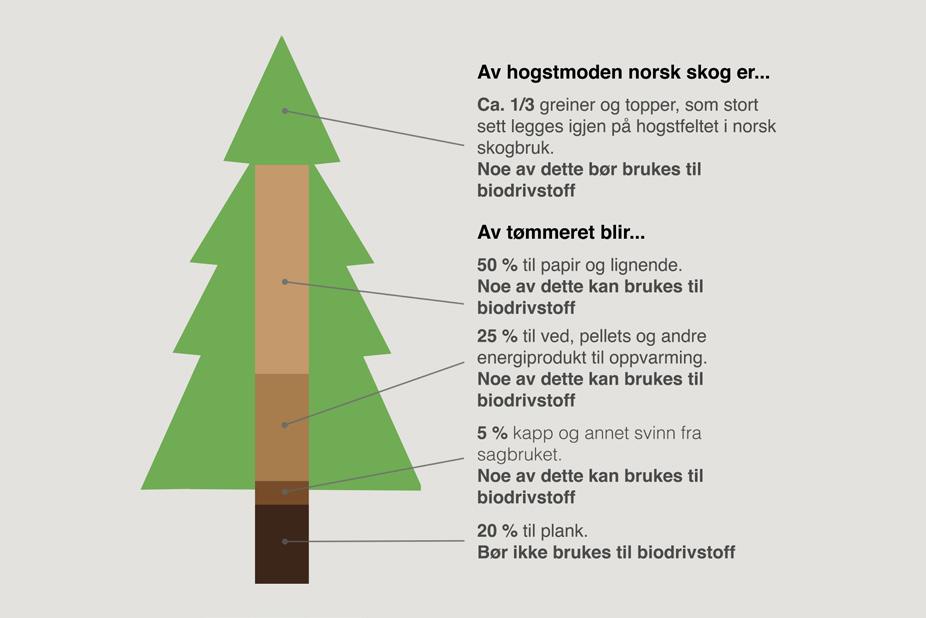 Biodrivstoff fra den norske skogen Skogen er den største ressursen til å produsere biodrivstoff i Norge.