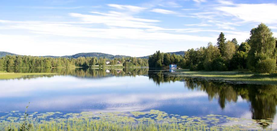 MILJØBEHANDLING VED PSYKOSE