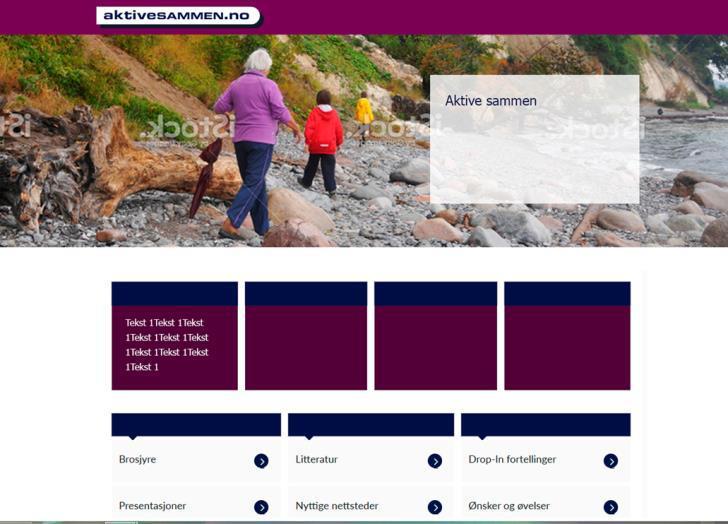 Individnivå/ Målgruppe Metode Nettside: aktivesammen.