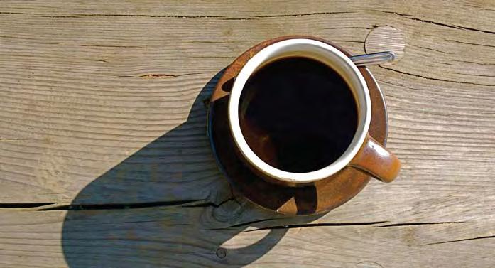 zwei lebenslänglich verurteilte Zwillinge folgendem Experiment unterzog: Während der eine täglich Kaffee trinken musste, wurde dem anderen Tee verabreicht.