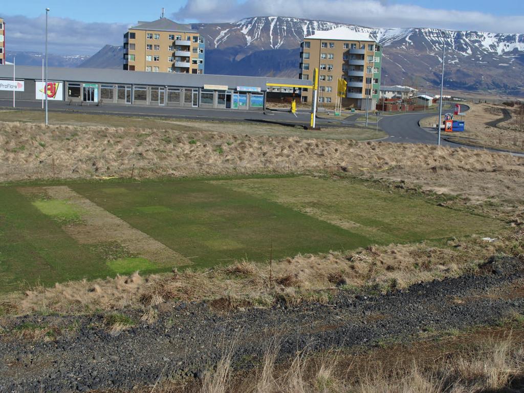 BILDE 4: SCANGREEN-forsøket på Apelsvoll 8.mai 2013.