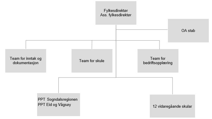 3 Om tenesteområdet 3.1 Organisering 3.1.1 Opplæringsavdelinga i fylkeskommunen Sogn og Fjordane fylkeskommune har ei opplæringsavdeling med 35 tilsette, som er leia av fylkesdirektør for opplæring.