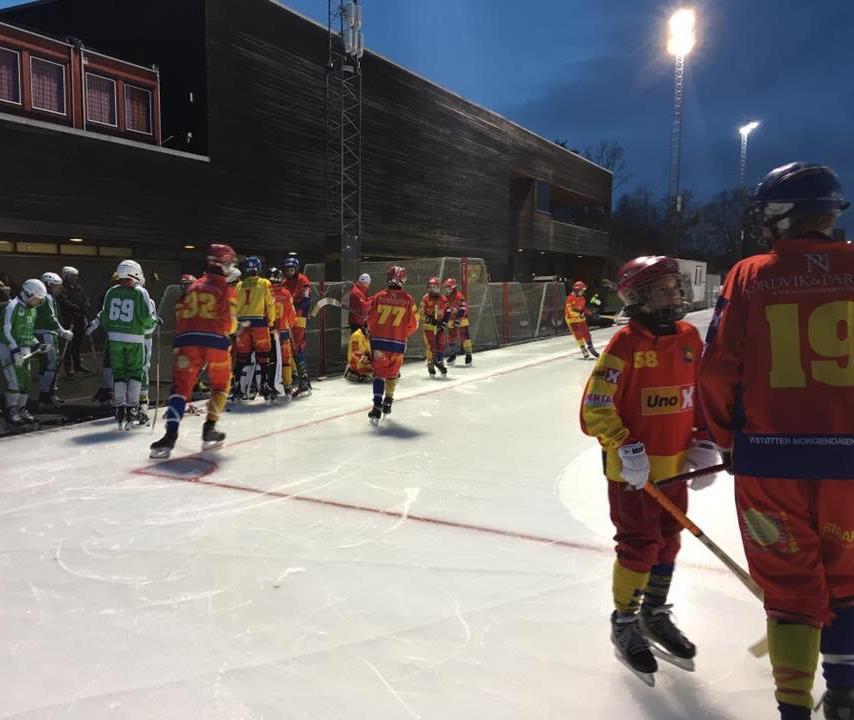 Røa Bandy Smågutt / LG04 NM-SERIEN (USEEDET)