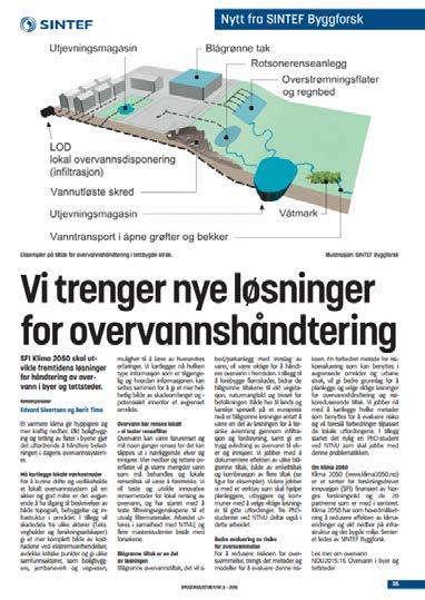 WP2 Overvannshåndtering 1. Hvor og hvor stort er problemet? 2. Hvor stor er risikoen for skade?