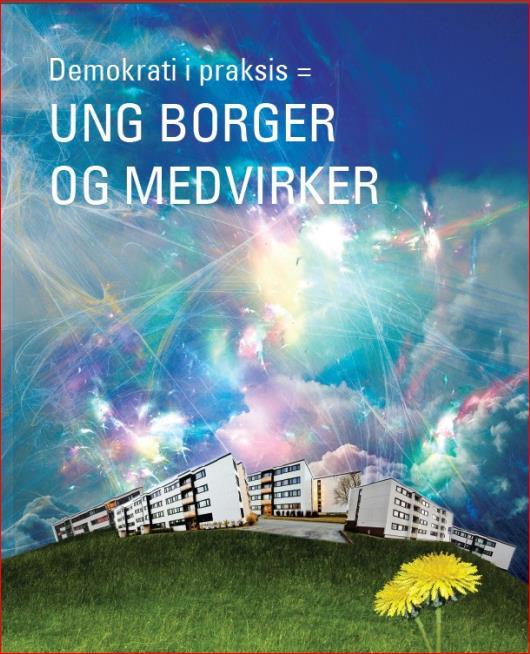 BARN OG UNGES SAMFUNNSLABORATORIUM Utforskningsprosjektene kan være alt fra utforming av lekeplasser og fritidstilbud, til hvordan barnevernet jobber, skolehverdagen, hvordan sykehus tilrettelegger