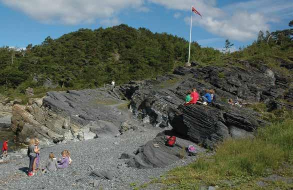 Skallrestene etter dette dyrelivet er i dag de kalksteinene som du blant annet kan se i brattkanten Rognsåsen som reiser seg fra