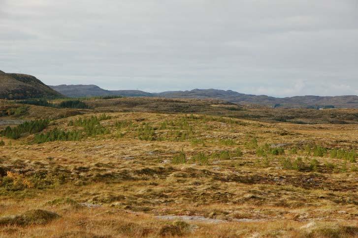 lokaliteter med kystlynghei i fylkene Rogaland, Hordaland, Sogn og Fjordane, Møre og Romsdal, Sør- Trøndelag og Nord-Trøndelag.