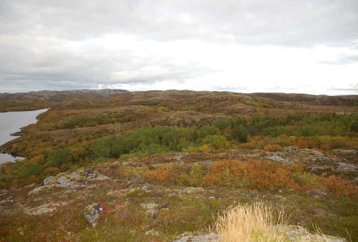 Det var ikke mulig å ut fra rapportene å skille ut enkelte naturtyper.