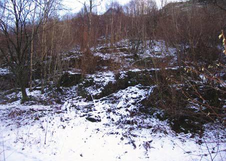 planområdet. Krysset sammenfaller med rester av den nordre steinmuren, som er omtalt lenger foran. Foto 1.