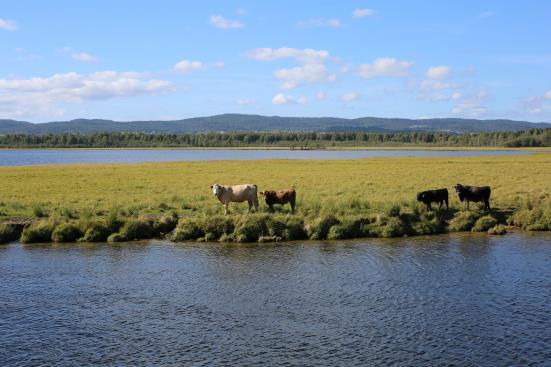 gjennomføring Foto: Marte Rosnes