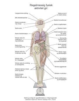 Negative effekt av fysisk aktivitet Hva er fysisk aktivitet?
