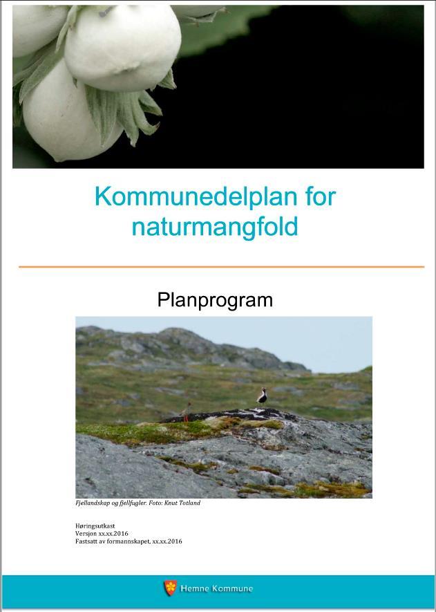 Hvordan vil Hemne sikre naturmangfold gjennom kommuneplanarbeid?